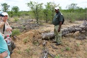 21_Motswari-us