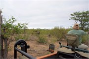 29_Elephants-Giraffes-Rhinos