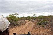 59_Elephants-Giraffes-Rhinos