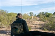86_Elephants-Giraffes-Rhinos
