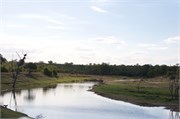 11_Motswari-646