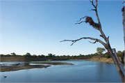 12_Motswari-646