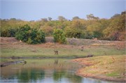 14_Motswari-646