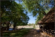 42_Motswari-646