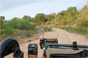 21_Motswari-651