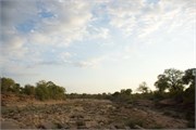 23_Motswari-651