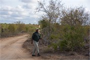 37_Motswari-651