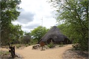 53_Motswari-651