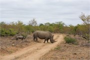 107_Motswari-652