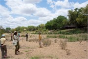 135_Motswari-652