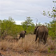 25_Motswari-652