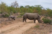 3_Motswari-652