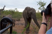 50_Motswari-652
