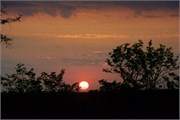 1_Motswari-653