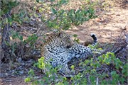 2_Motswari-654