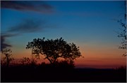 40_Motswari-654