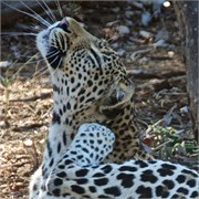 7_Motswari-654