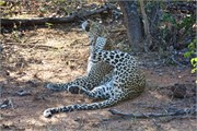 8_Motswari-654