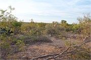 107_Motswari-655
