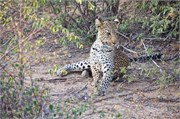 110_Motswari-655