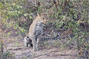 112_Motswari-655