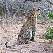 114_Motswari-655