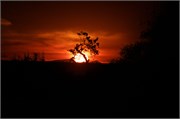 123_Motswari-655
