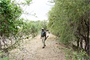 55_Motswari-655