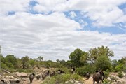 63_Motswari-655