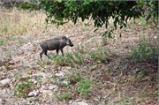 91_Motswari-655