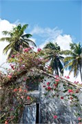 27_AtlanticCruise