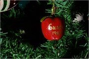 002-Ornaments