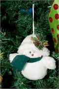 021-Ornaments