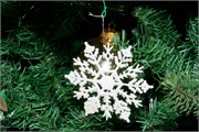 036-Ornaments