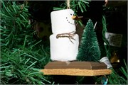066-Ornaments