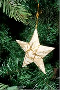 193-Ornaments
