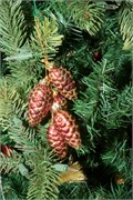 210-Ornaments