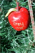 217-Ornaments
