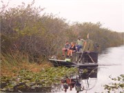 0023_3_Miami-Everglades2