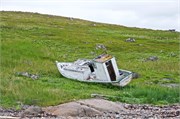 0279_36-RedBayLabrador