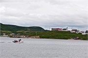 0280_37-RedBayLabrador