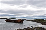 0281_48-RedBayLabrador
