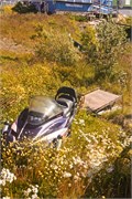 0285_a31-QaqortoqGreenland