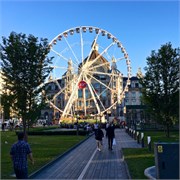 0467_19-Antwerp
