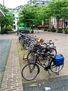 0485_c6-Rotterdam