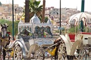 0728_093-Volubilis-Meknes-Fez