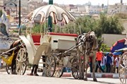 0729_094-Volubilis-Meknes-Fez
