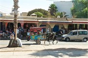 0739_011-ArganOilLoop_Essaouira