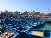 0743_077-Essaouira_Gnawa_Henna