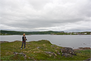 0041_41-RedBayLabrador